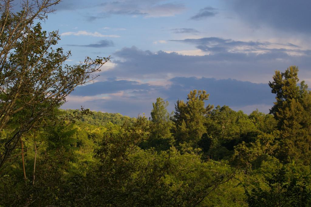 Villa Bush Baby Glen Hazyview Zimmer foto