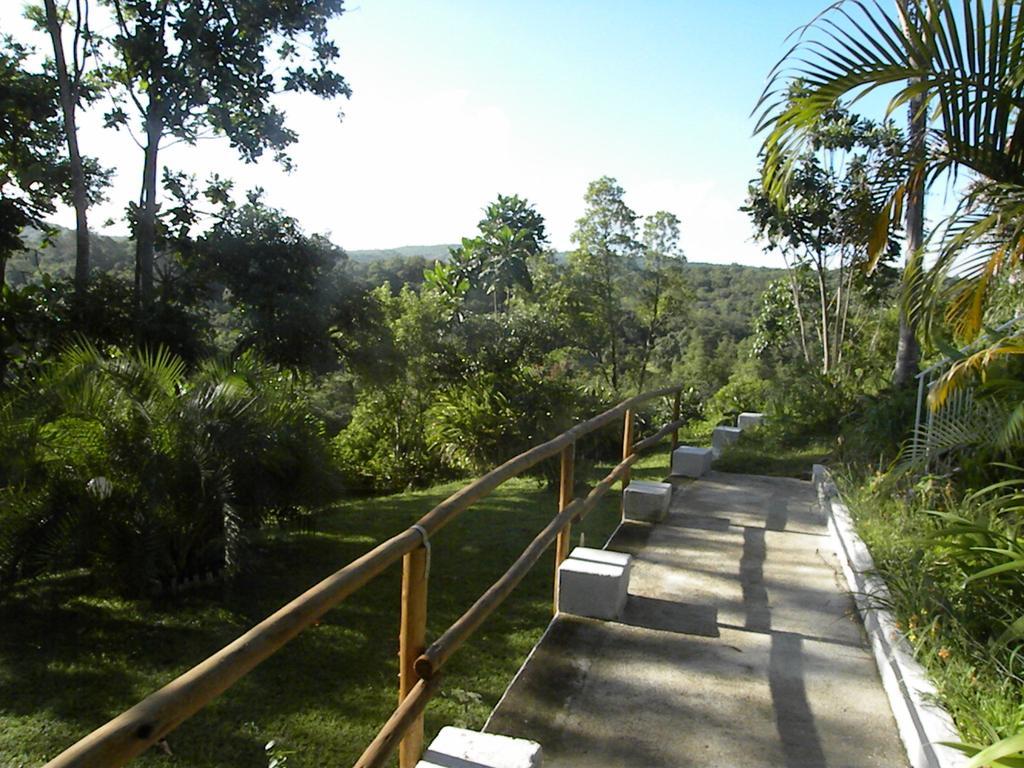 Villa Bush Baby Glen Hazyview Exterior foto